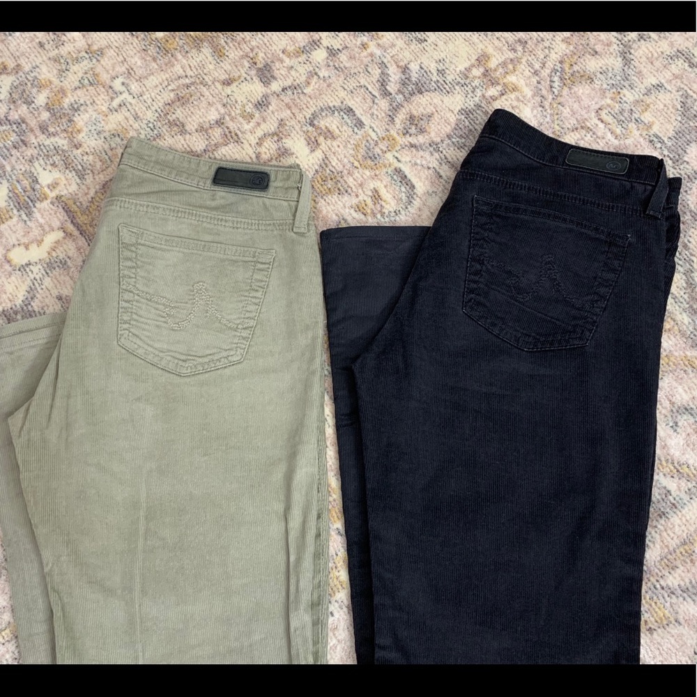 Adriano Goldschmied pants